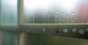 Window condensation