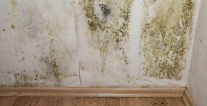 Condensation mould