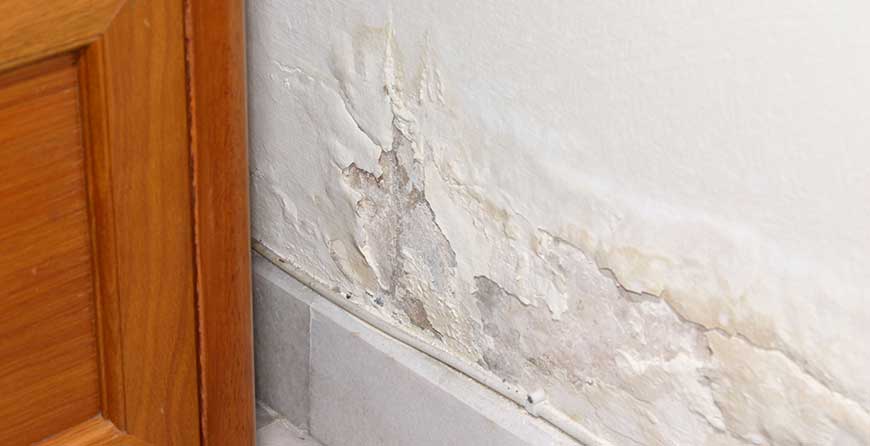 Your Health How Can Damp Have An, Can Damp Basement Make You Sick