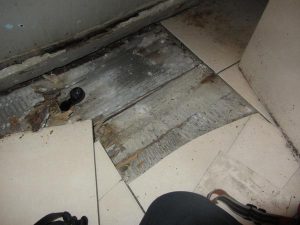 wood rotting fungi to the floor timbers