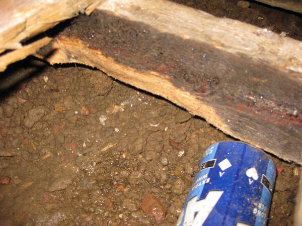 severe structural damaged caused by woodworm timblers requires replacement