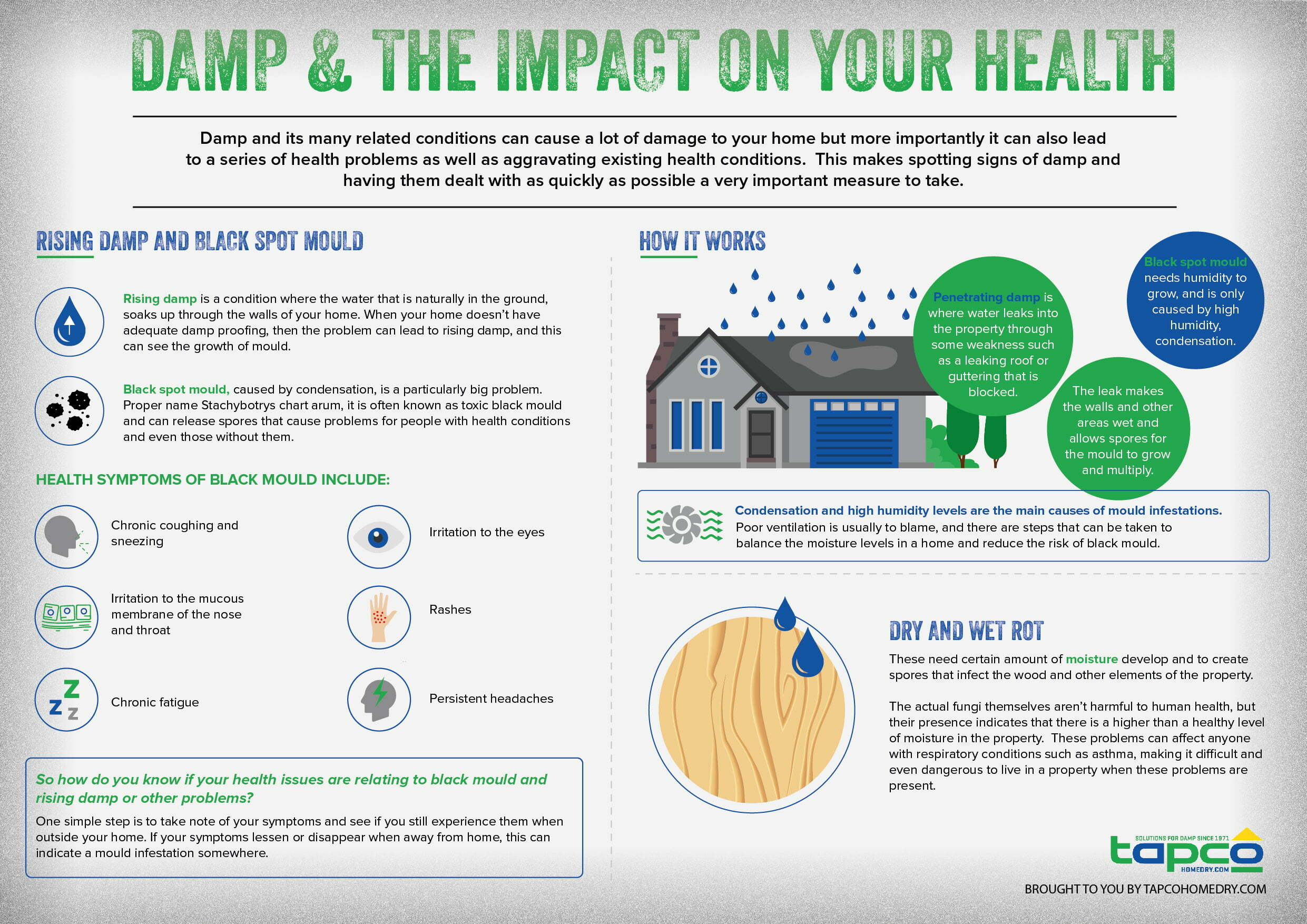 Mold Growth Humidity Chart