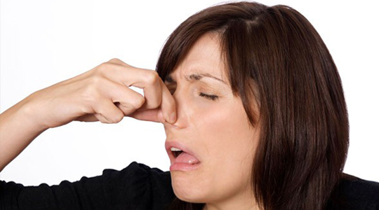 how to get rid of musty smells