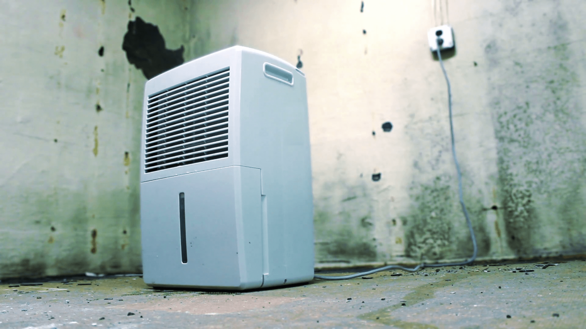 Dehumidifier 