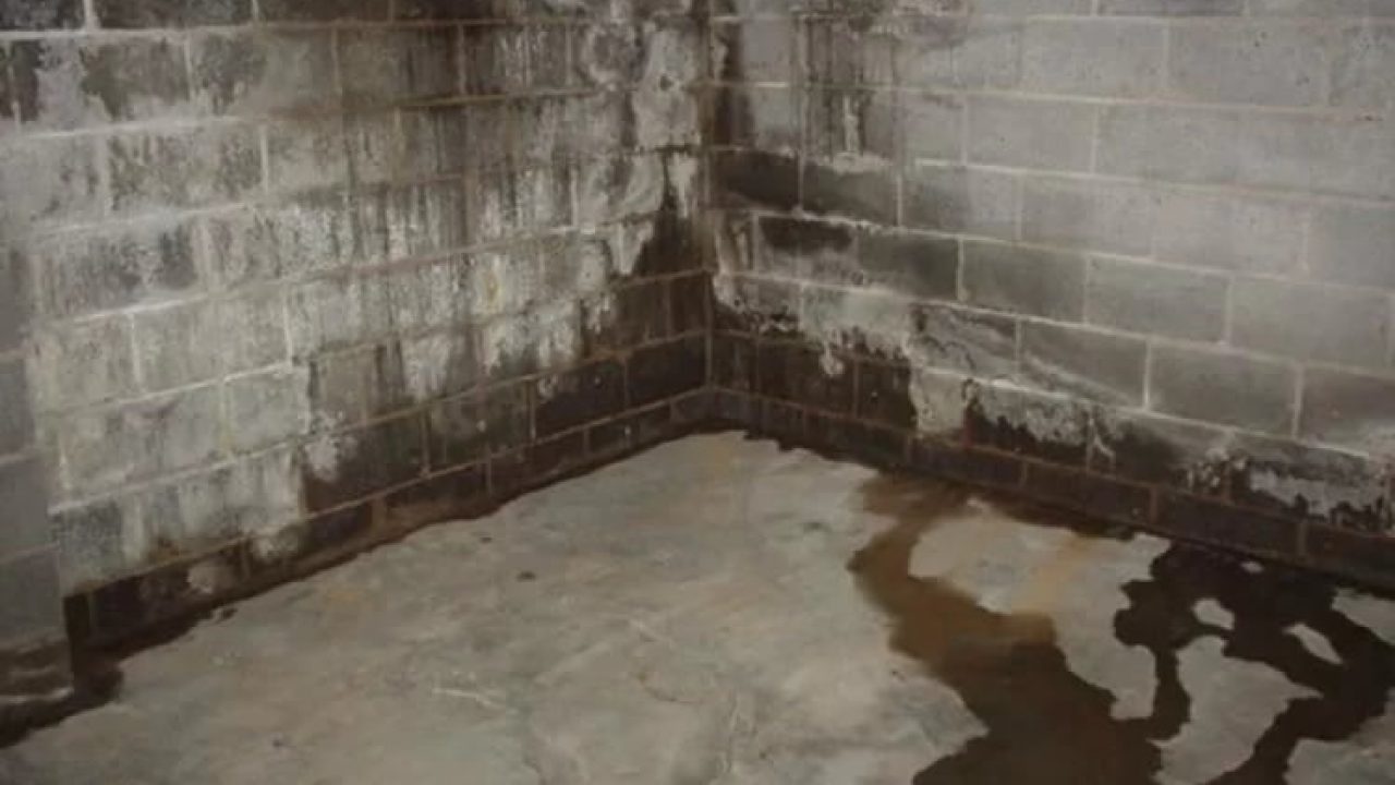 Signs Of A Damp Basement Openbasement