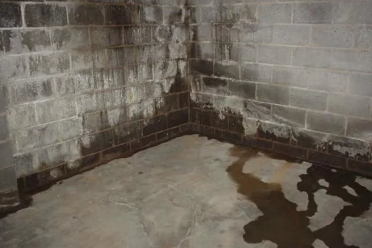 Damp in Basement and Cellars – What to Look Out For