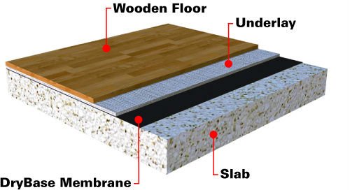 Tips For Eradicating Moisture In A Damp Cellar Tapco Homedry London