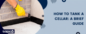 How to Tank a Cellar: A Brief Guide | Tapco HomeDry