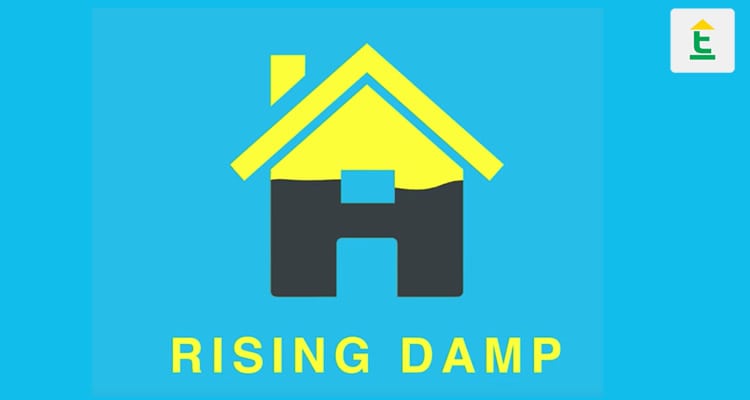 Rising damp