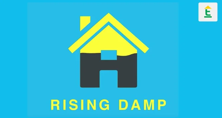 Rising damp