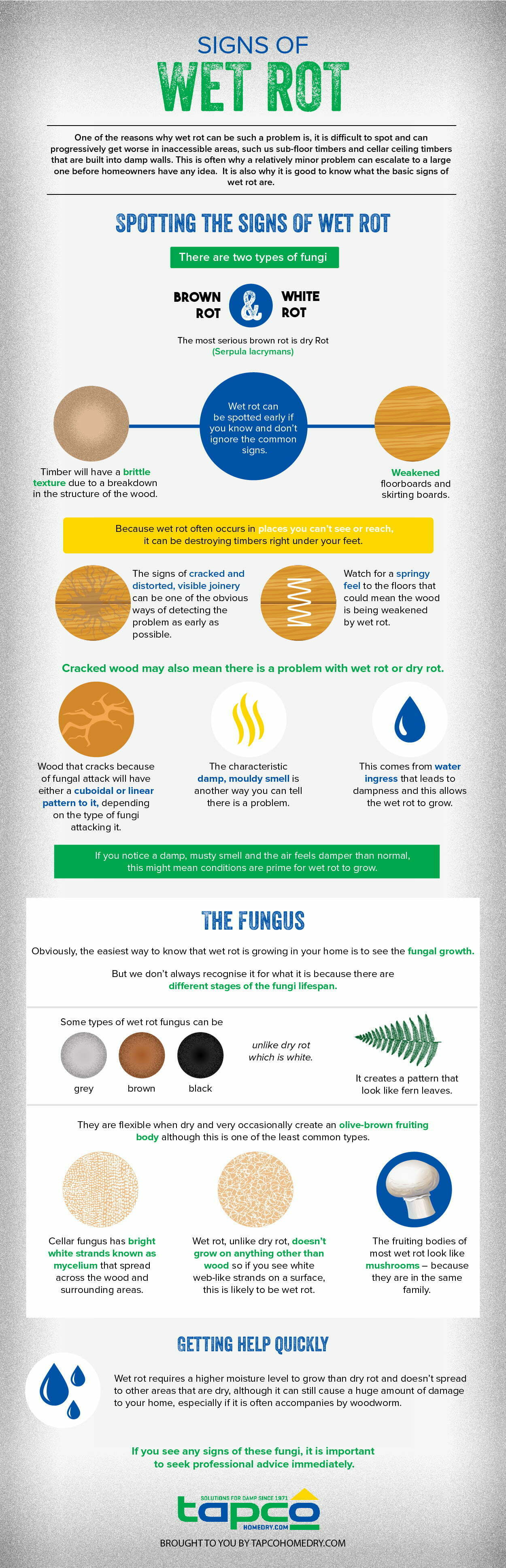  basic signs of wet rot