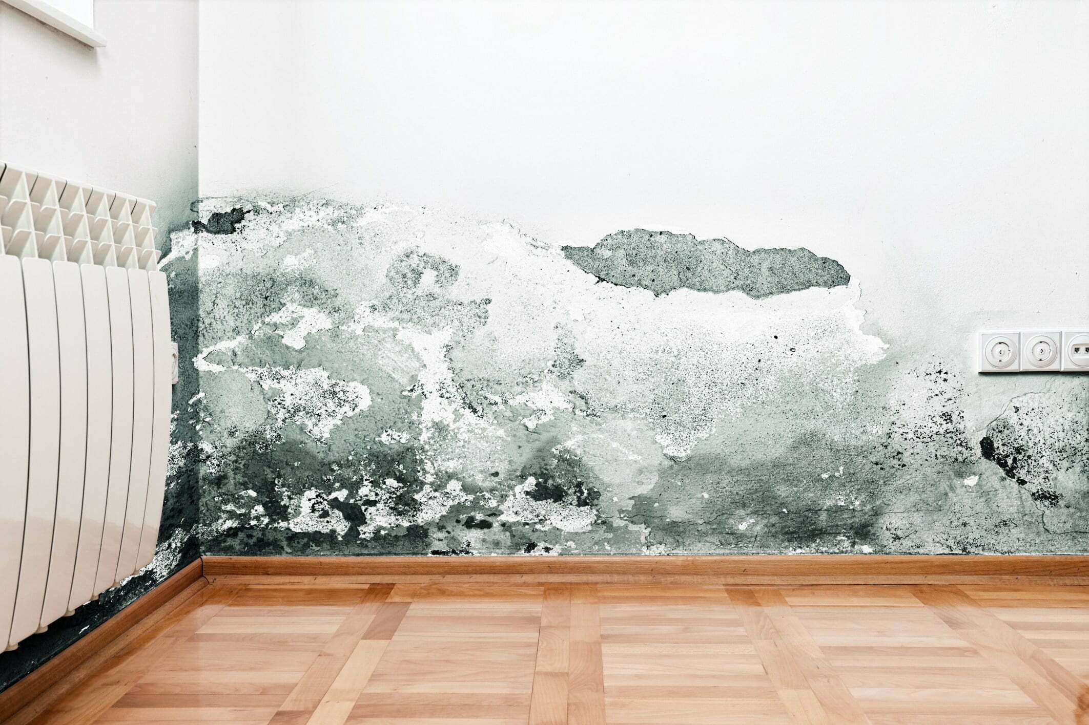 Black Mould And Mildew On Walls And Ceilings A Helpful Guide