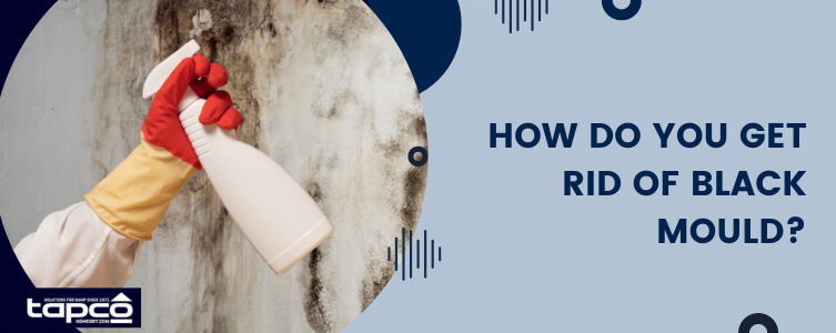 How do you get rid of black mould?