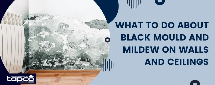 What to Do About Black Mould and Mildew on Walls and Ceilings