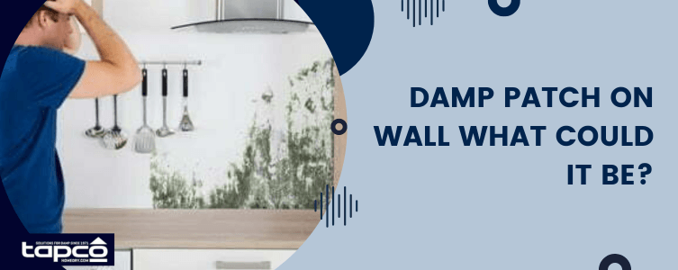 Damp Patch on Wall What could it Be?
