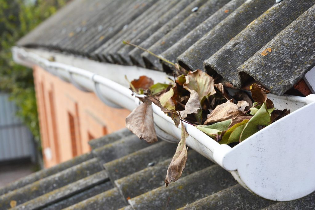 Clean your gutters