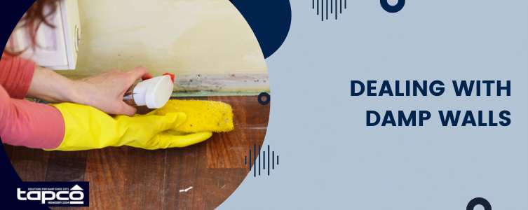 Dealing with damp walls