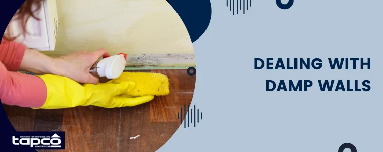 solving damp wall problem Dealing with damp walls
