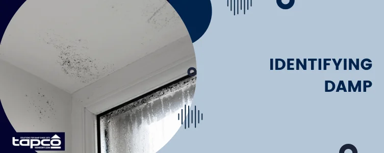 solving damp wall problem Identifying Damp
