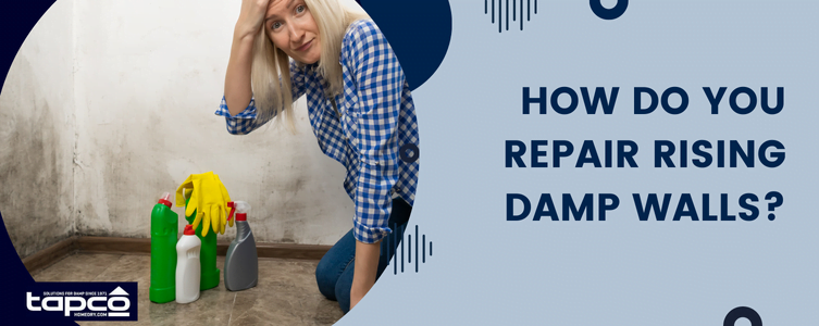 How do you repair rising damp walls