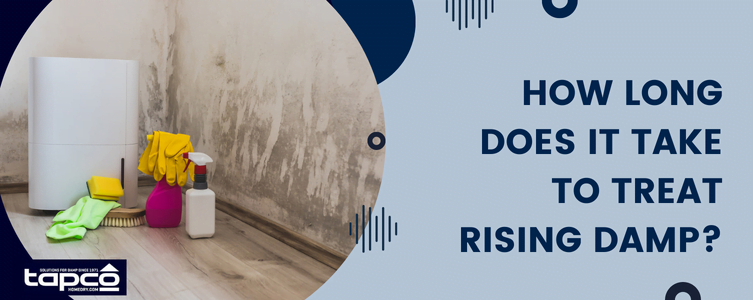 How long does it take to treat rising damp