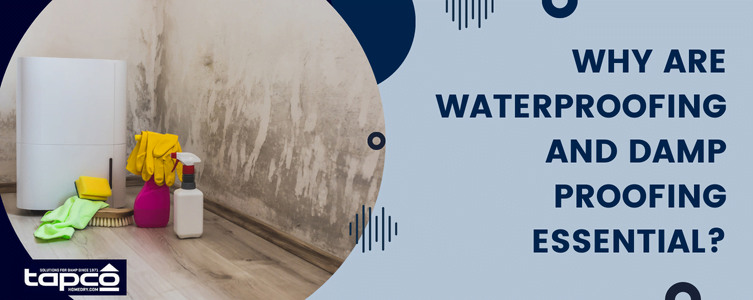 Why are waterproofing and damp proofing essential?