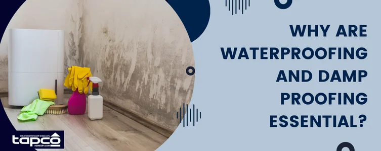 Why are waterproofing and damp proofing essential?