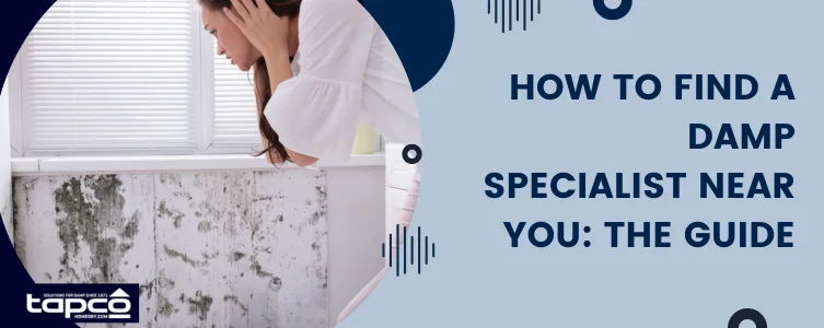 How to Find a Damp Specialist Near You: The Guide