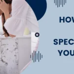 How to Find a Damp Specialist Near You: The Guide