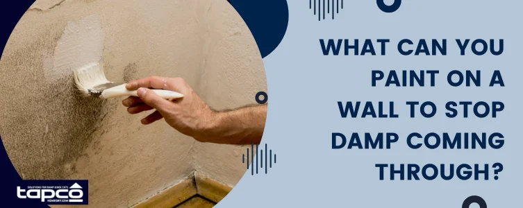 What can you paint on a wall to stop damp coming through?