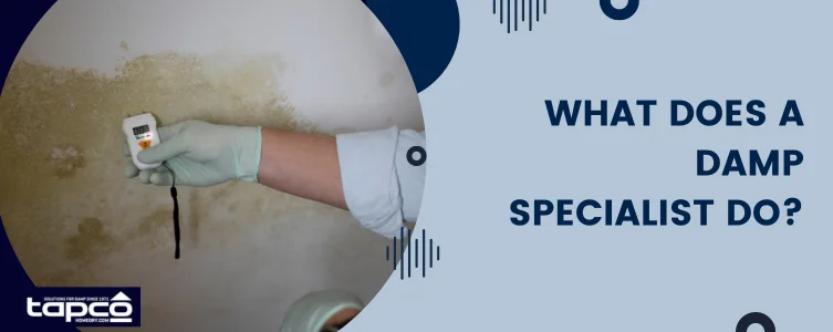What does a damp specialist do?