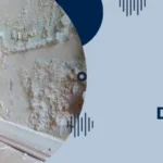 How to Fix Damp Walls