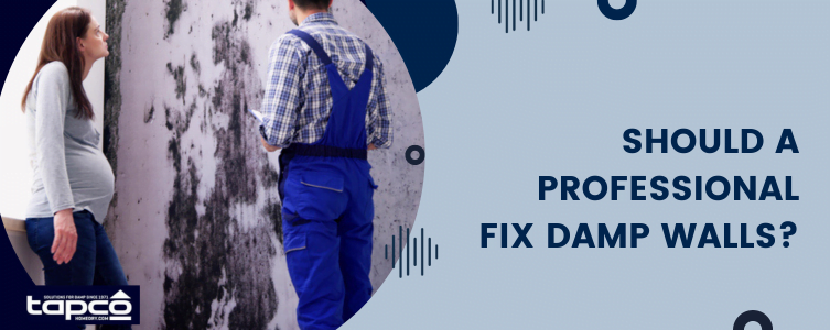 Should a professional fix damp walls?