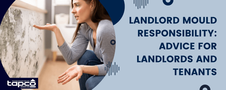 Landlord Mould Responsibility Advice for Landlords and Tenants