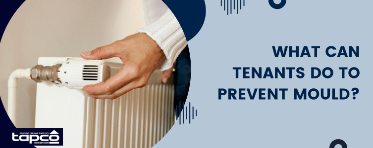 What can tenants do to prevent mould?