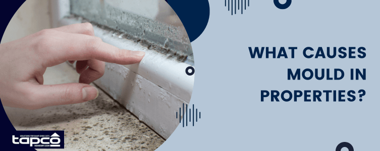 What causes mould in properties
