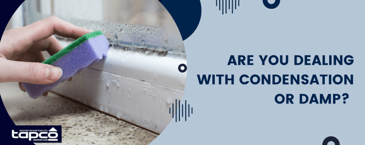 Are you dealing with condensation or damp?