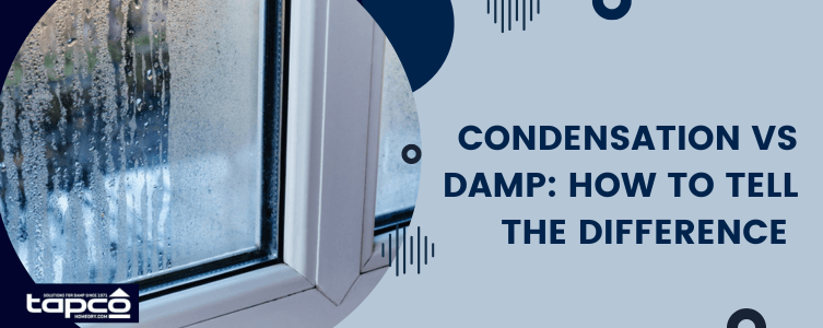 Condensation vs Damp: How to Tell the Difference