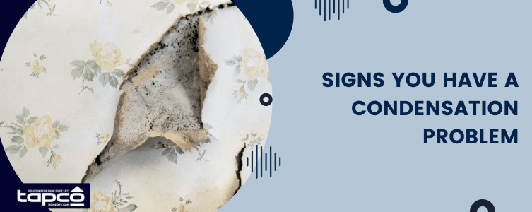 Signs you have a condensation problem