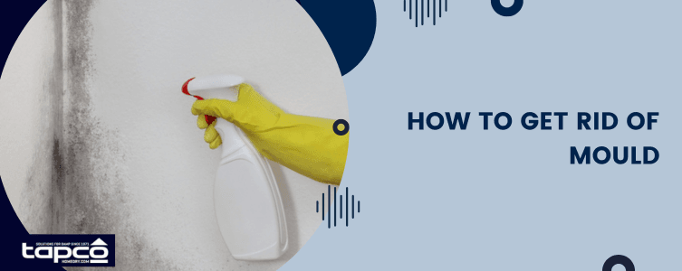How to get rid of mould