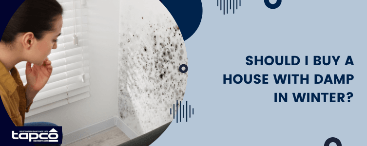 Should I Buy a House With Damp in Winter?