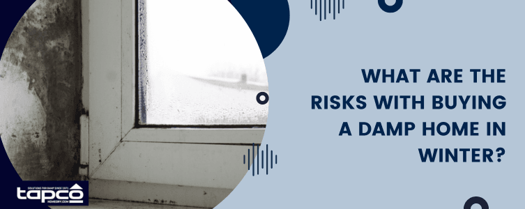 What are the risks with buying a damp home in winter?